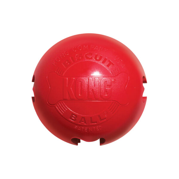 308267 KONG Biscuit Ball Lg