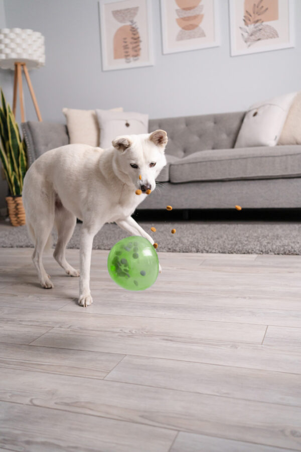 308388 Outward Hound Orbee-Tuff Snoop Orange Planet Dog