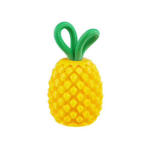 Outward Dental Pineapple TNT Ylw
