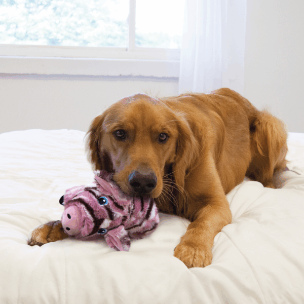 308456 KONG Low Stuff Stripes Pig Md