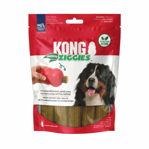 308462 KONG Ziggies Enhanced Md/Lg 227g