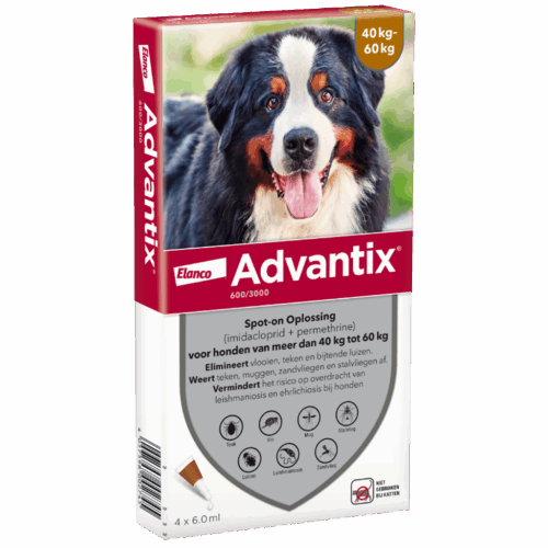 Advantix 600/3000 (40 - 60 kg) 4 pipetten