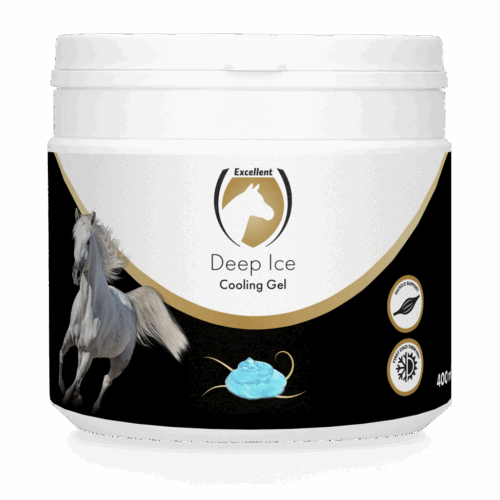 Deep Ice Gel in pot 400 ml