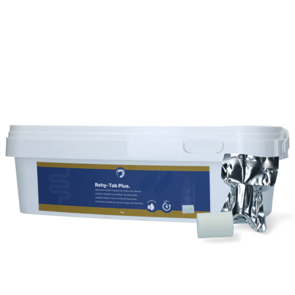 Rehy-Tab Plus (Bruistablet diarree) 20 tabl