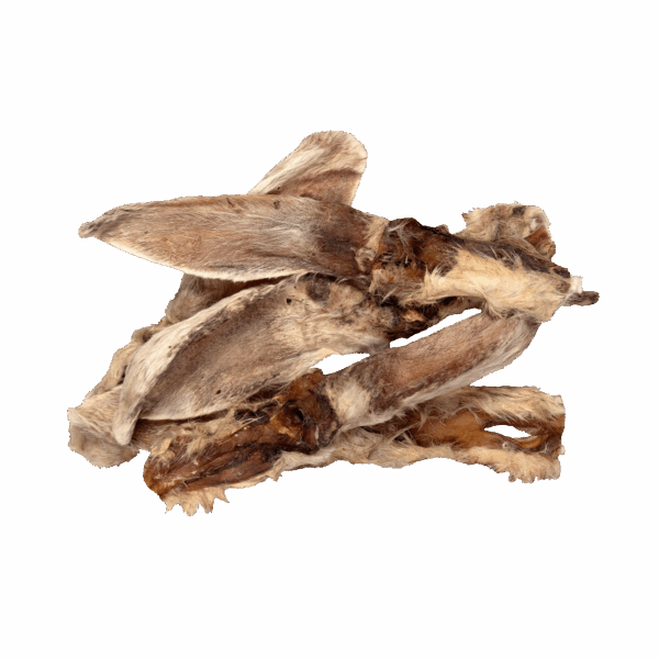 308823 Braaaf Rabbit Ears with Hair