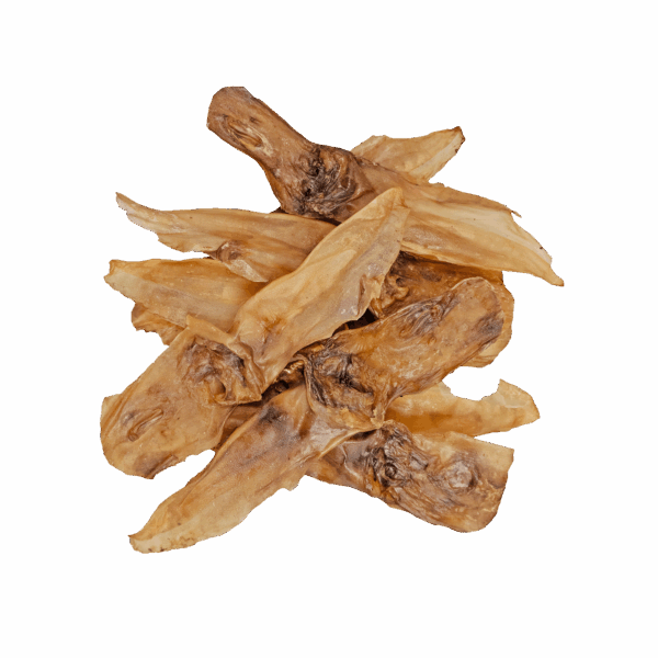 308843 Braaaf Rabbit Ears