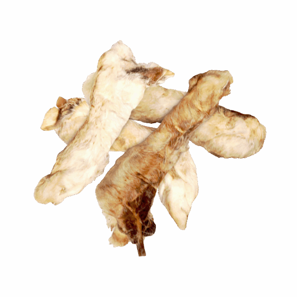 308852 Braaaf Rabbit Paws