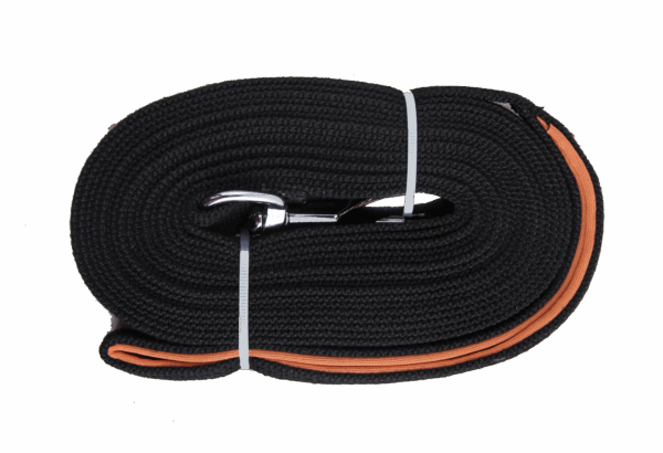 Pawise Lange trainingslijn 15 meter