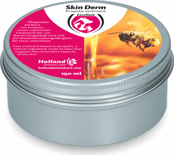 Skin Derm Propolis & Honing Zalf